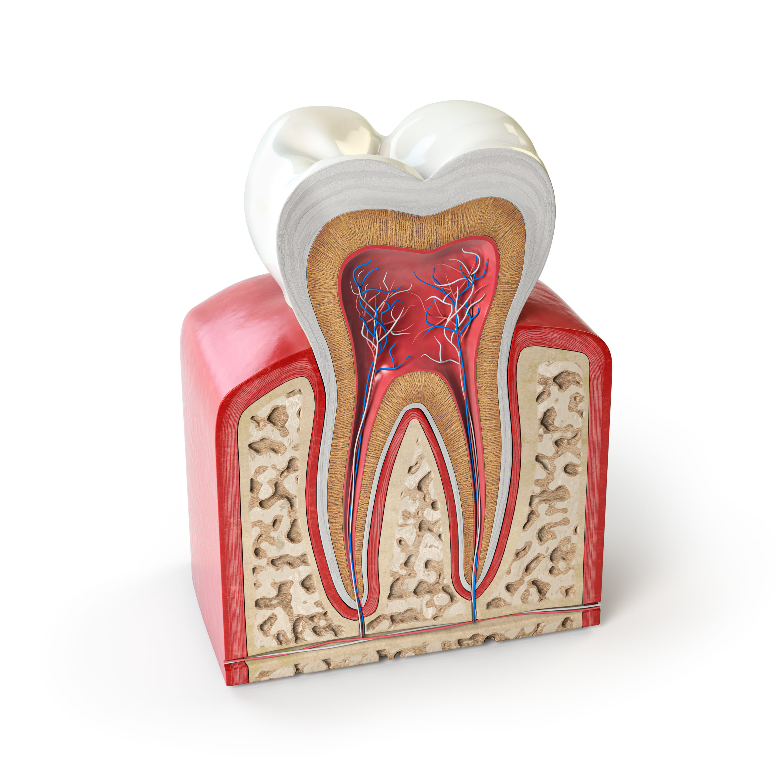 Medical Conditions and Your Dental Health